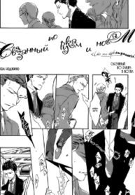 Cover 25577