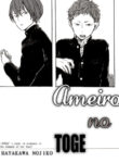 Cover 25599