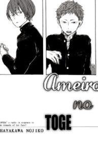 Cover 25599