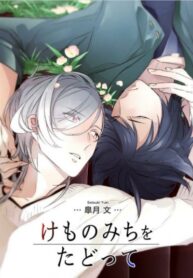 Cover 25657