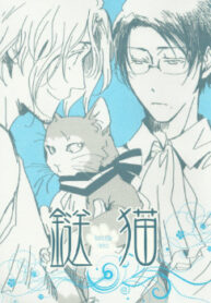 Cover 25773