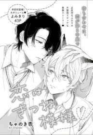 Cover 25781