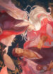 Cover 25807