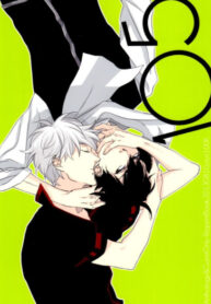 Cover 25845