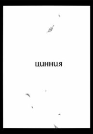Cover 25847