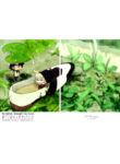 Cover 25849