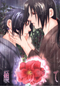 Cover 25853