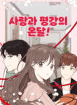 Cover 25917