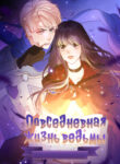 Cover 25938