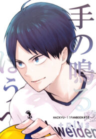 Cover 25973