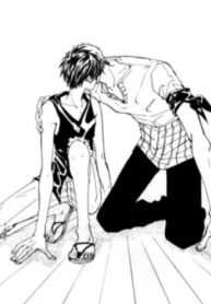 Cover 26117