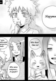 Cover 26121