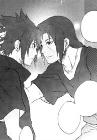 Cover 26154