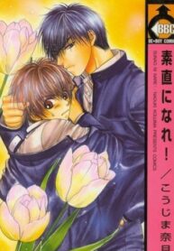 Cover 26164
