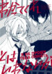 Cover 26166
