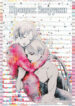 Cover 26172