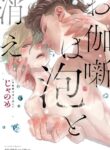Cover 26196