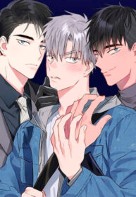 Cover 26199
