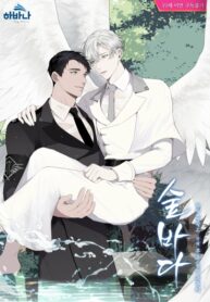 Cover 26207