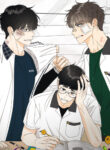 Cover 26211