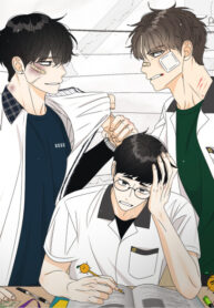 Cover 26211