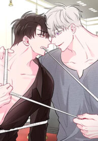 Cover 26225