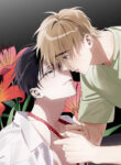 Cover 26233