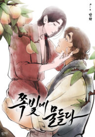 Cover 26241