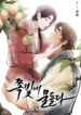 Cover 26241