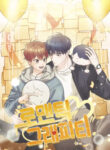 Cover 26243
