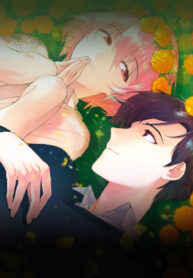 Cover 26253