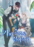 Cover 26355