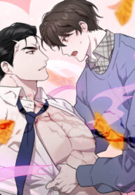 Cover 26369