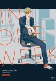 Cover 26373