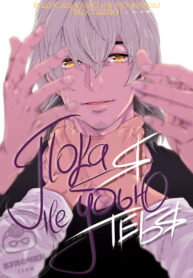 Cover 26381