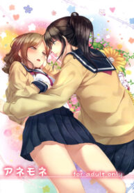 Cover 26417
