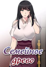 Cover 26441