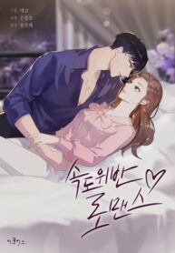 Cover 26536
