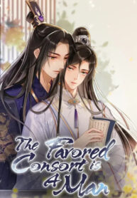 Cover 26578