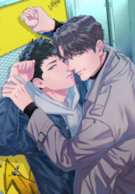 Cover 26588