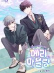 Cover 26590