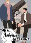 Cover 26600