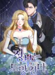 Cover 26630