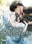 Cover 26646