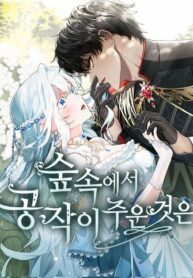 Cover 26646