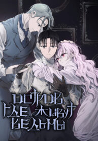 Cover 26668