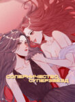 Cover 26697