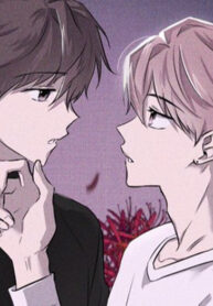Cover 26756