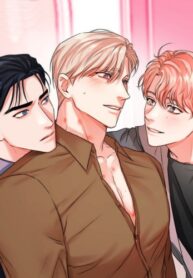 Cover 26810