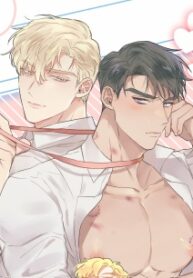 Cover 26840